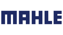 Mahle Motorsport